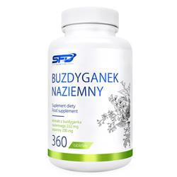 ЯКИРЦИ СЛАНКИ