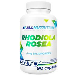 РОДИОЛА РОЗЕА - Rhodiola Rosea